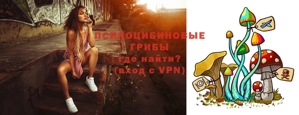 стафф Алексеевка