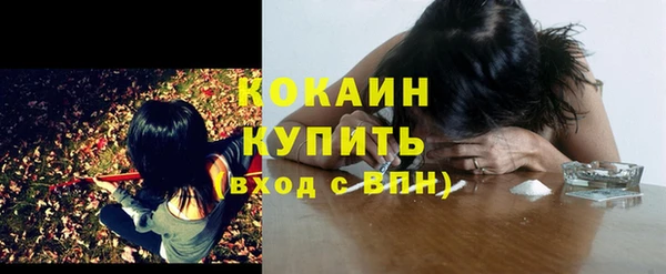 ПСИЛОЦИБИНОВЫЕ ГРИБЫ Нея